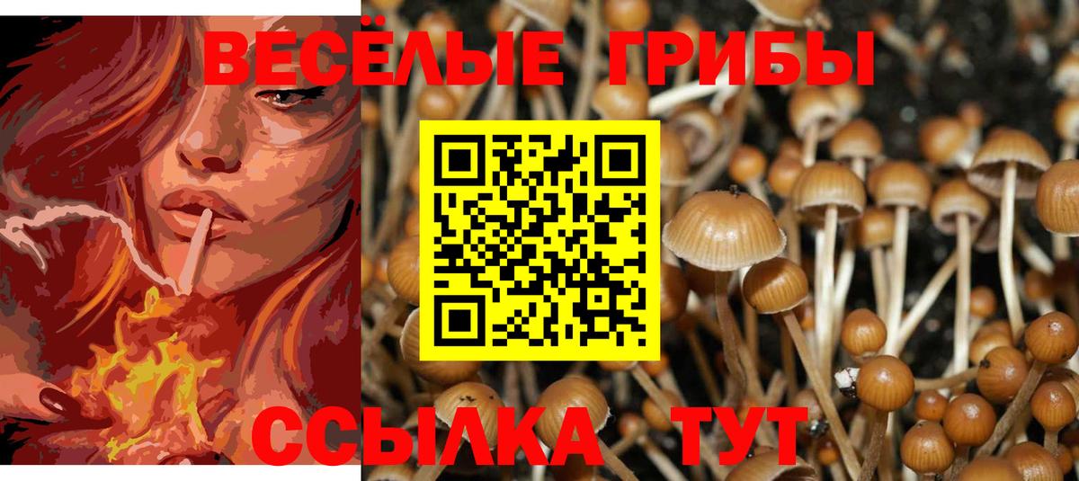 Псилоцибиновые грибы Magic Shrooms  Вход с VPN  Котельники 